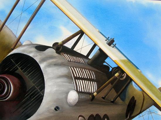 Le Sopwith F1 Caml